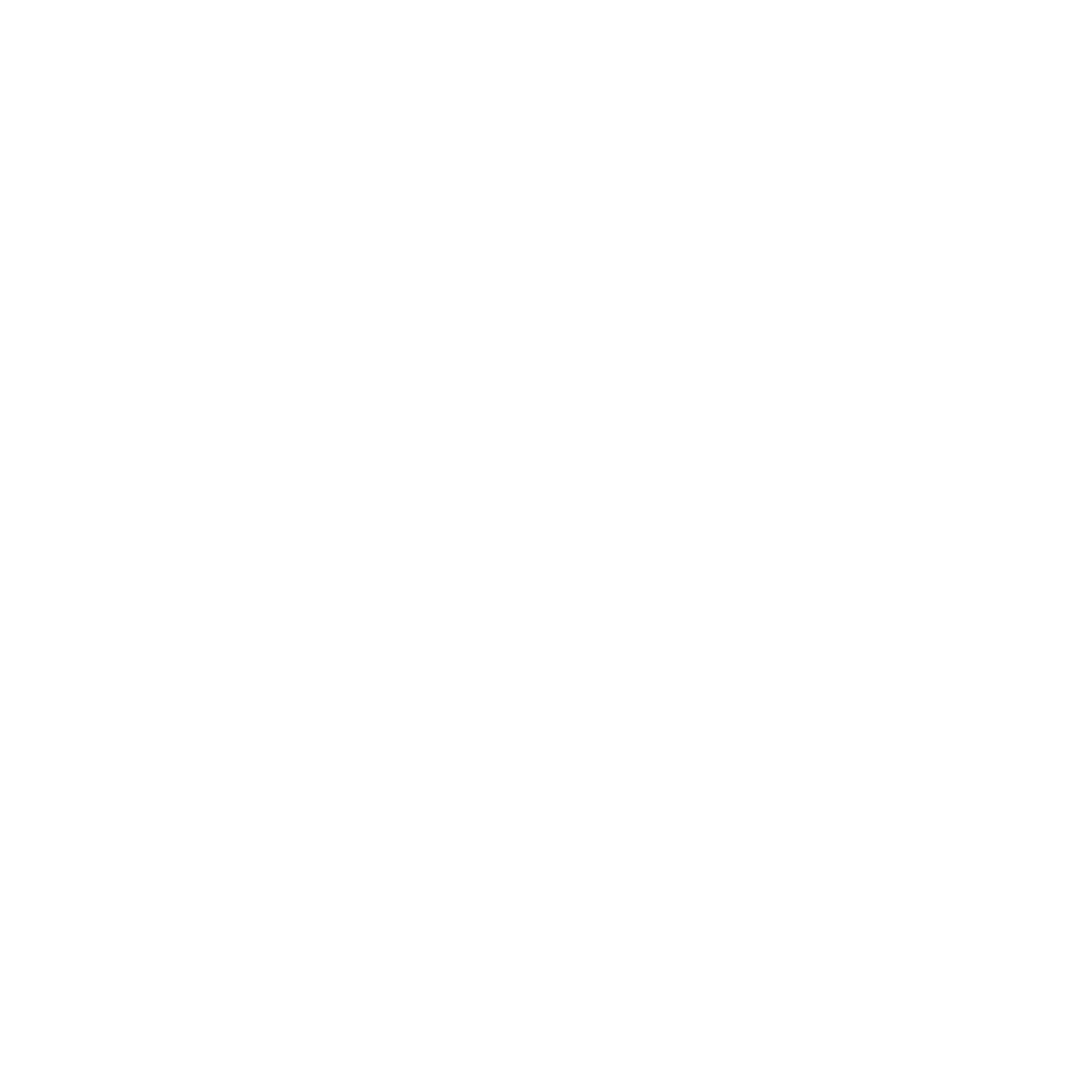 Youth Assembly of Nations